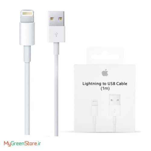 (Lightning to USB (1m